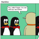 Die Pinguine versuchen sich an die Kleiderordnung zu halten