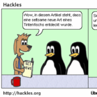 Wichtige News: Misteriöser Tintenfisch entdeckt