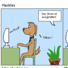 Oh nein! Stromausfall bei BitCo