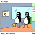 Die Pinguine kommen wieder nach hause ... Spannung liegt in der Luft