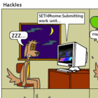 Hackles bekommt sehr spät nachts noch Besuch