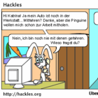 Hazel fährt mit den Pinguinen