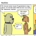 Die Suche nach einem neuen Programmierer beginnt