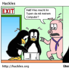 Prestons neue Grafikkarte ist bombig!