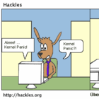 Panic befällt das Büro